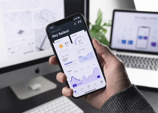Salesforce Developer